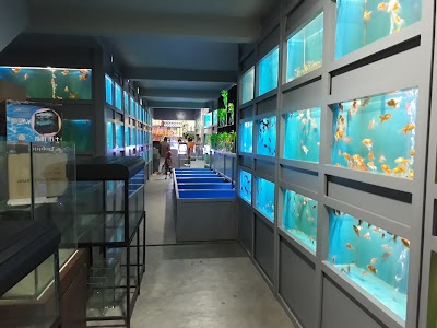 Photos of Nature Of Life Aquriums