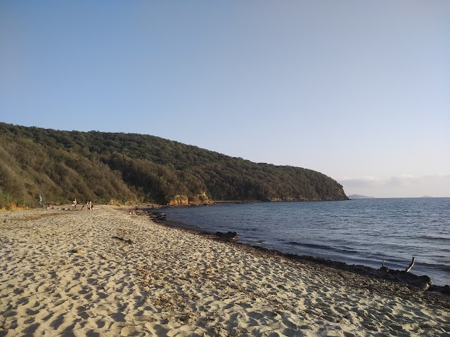 Cala Violina Spiaggia