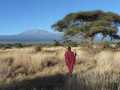 Kazuri Safaris Grootoort 72, 1721 JB Broek op Langedijk, Nederland