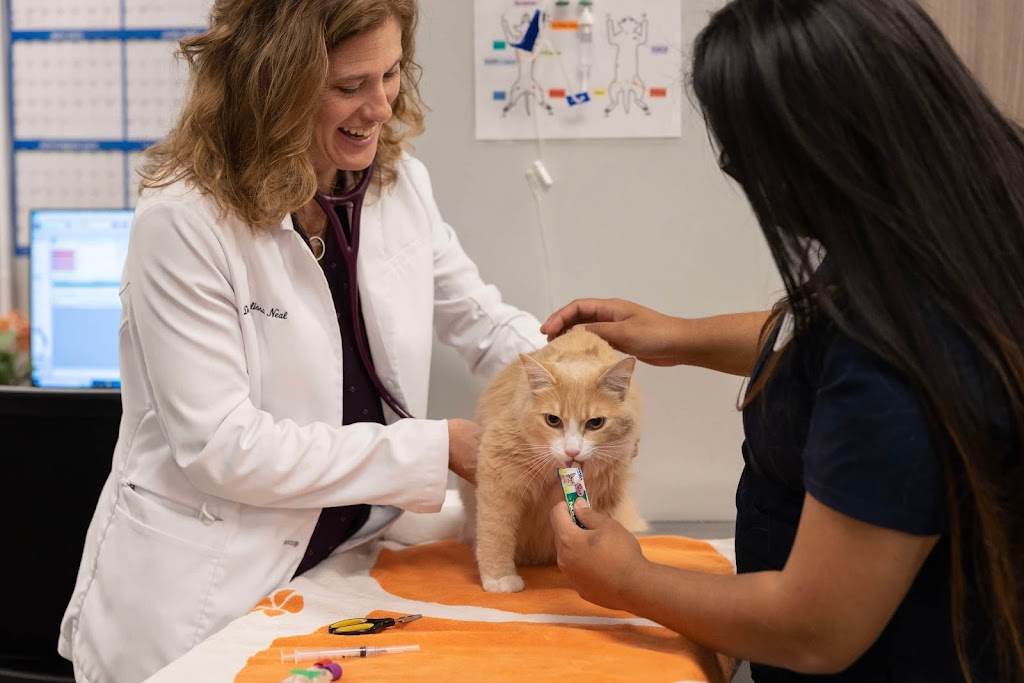Los Altos Veterinary Clinic