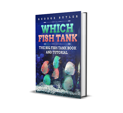 WhichFishTank.Com - Thumbnail