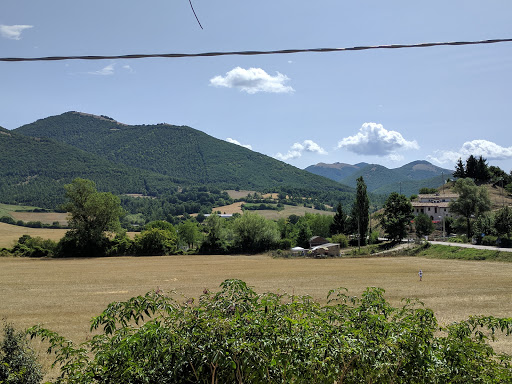 Parco del Fiume Corno - Thumbnail