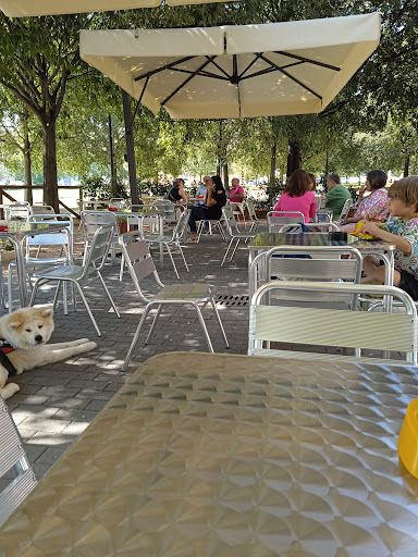 Caffe del Velodromo - Visual