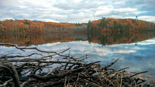 Chebacco Woods Gallery - United States