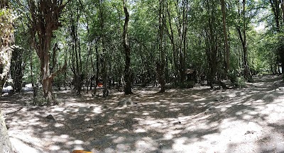 Photos of Naharkhoran Gorgan