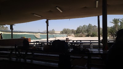 Photos of ספינת המדבר