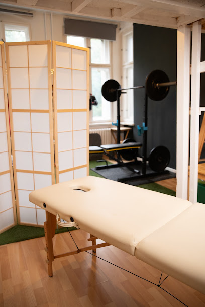 Mobile Physiotherapie Berlin Mitte/Wedding: Peak Performance Physio.