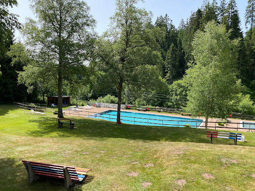 Waldschwimmbad Kniebis - Thumbnail