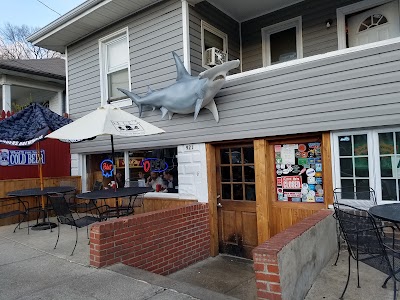 Photos of Hammerheads