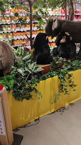 Beoordelingen van PLUS Mangnus in Middelburg - Supermarkt