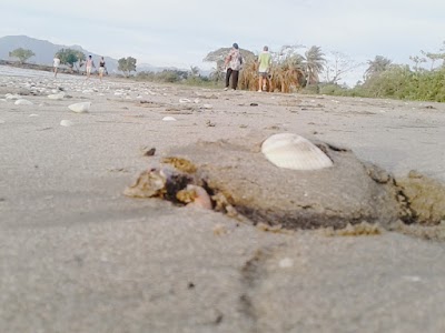 Photos of Travellers Beach Resort Nadi Bay
