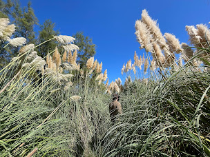 Photo n°48 de La Paillote du Fium à Porto-Vecchio (Restaurant)