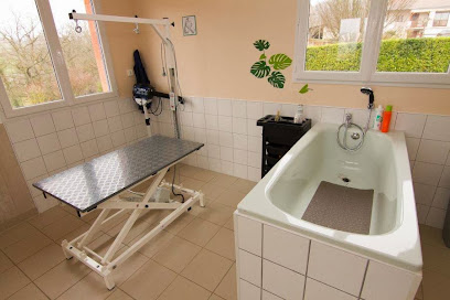 Look Canin | Salon de toilettage canin