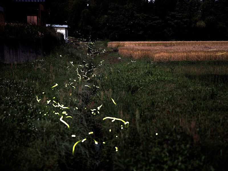 パソコンサポート オフサイト