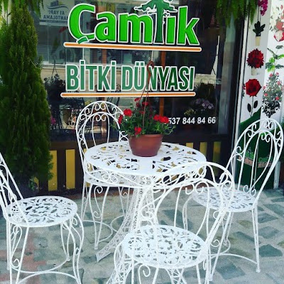 Çamlık Bitki Dünyası (çiçekçi)