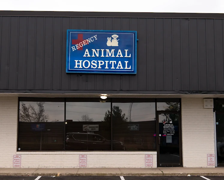 Regency Animal Hospital photo