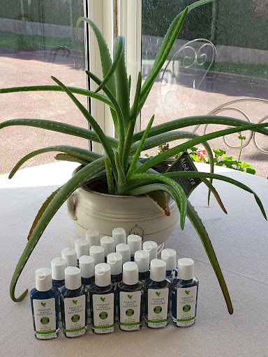 Détox-Minceur -Pulpes Forever Aloe Vera Gel - Joué Lès Tours 37 (Indre et Loire) - Entrepreneur Forever Agréé