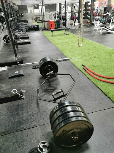 Concept Cardio Plus - Visual