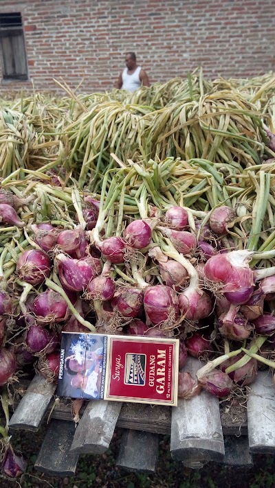 Photos of Bawang Merah Kapas