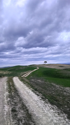Croce al pino - Thumbnail