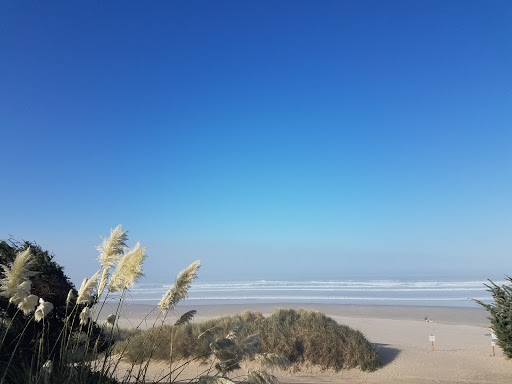 Manzanita Wheeler Link Gallery - United States
