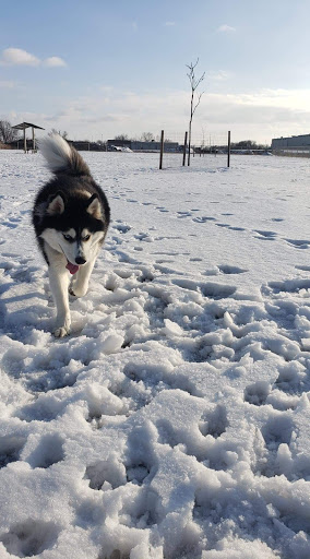 Muscatine Dog Park - Thumbnail