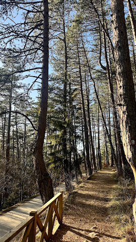 Pino Nature Hotel by null