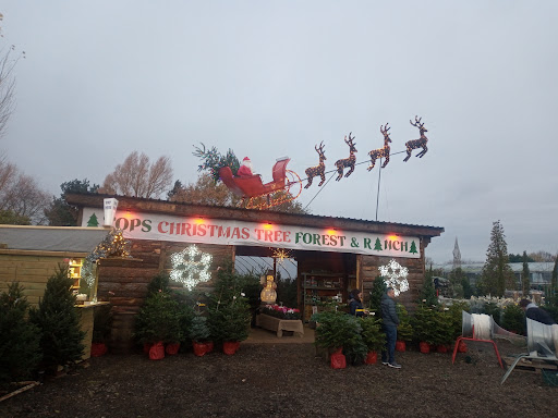 Trade Only Plant Sales Ltd.