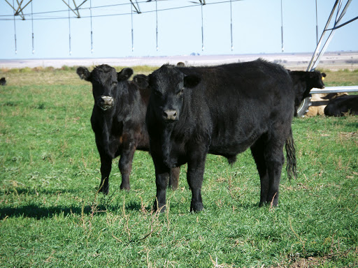 Redger Farms Gallery - United States