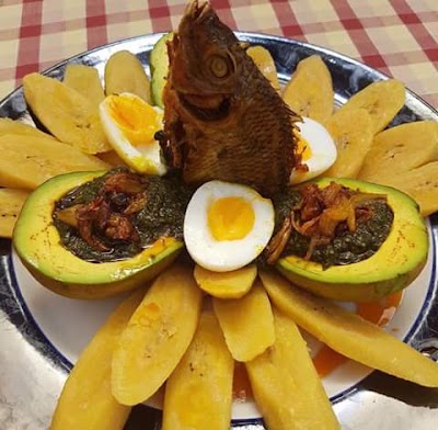 Photos of Excelsa Lodge
