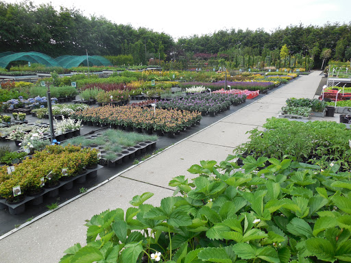 Plantencentrum Van Den Beuken - Thumbnail