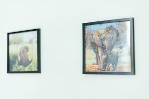 Photo n°7 de L'élédaurat à Riom (Appartement de vacances)