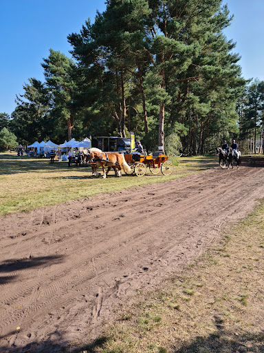 Hengstprüfungsanstalt Adelheidsdorf - Landgestüt Celle