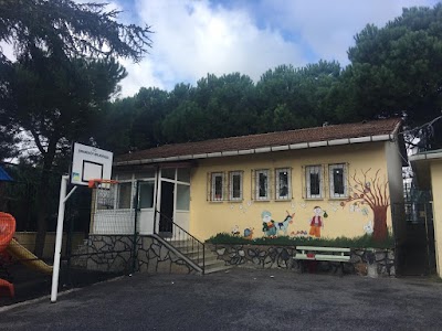 Sabiha Hamdi Türkay Primary School