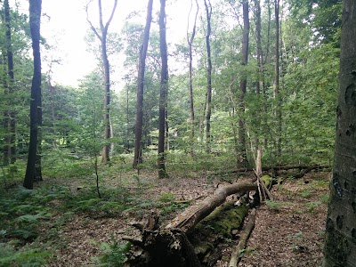 Wandelplaats Bij Oriëntalis