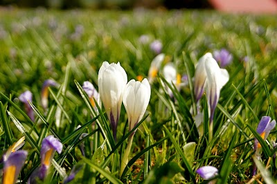 Photos of H&ouml;rnerd&ouml;rfer im Allg&auml;u