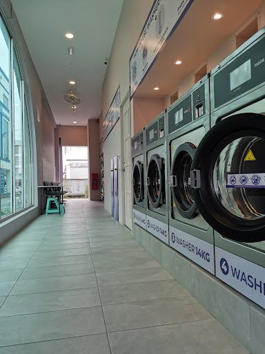 Wash Plus