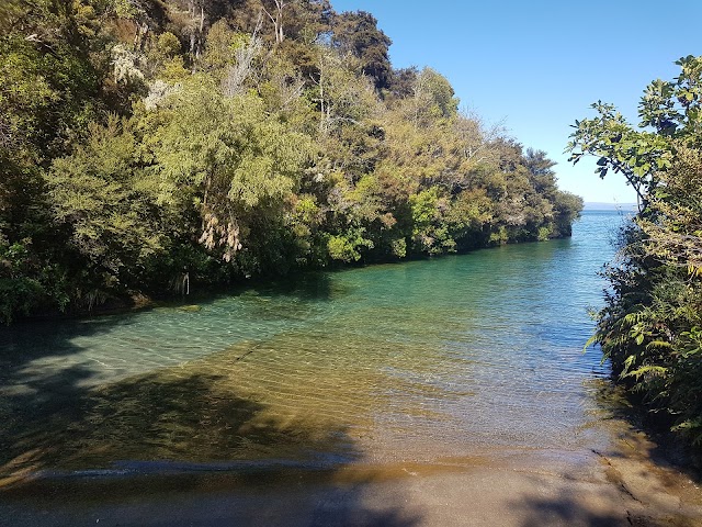 Taupo Maori Carvings