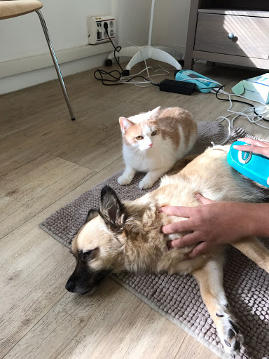 Clínica Veterinaria WECAN Integra