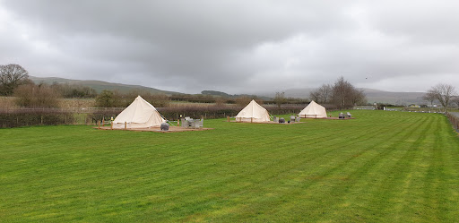 New House Caravan Park - Thumbnail