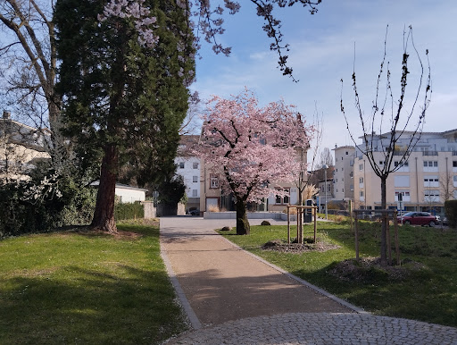 Haganderpark - Visual