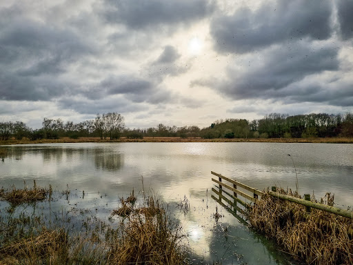 Tern Pool - Visual