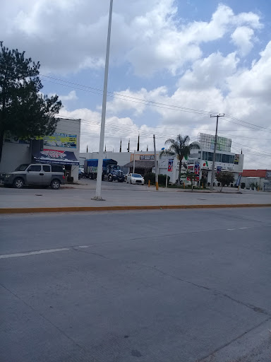 PLAZA MAGUEY - Thumbnail