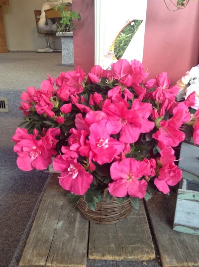 Rushville Florist & Gifts Inc.