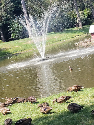 Stronach Park