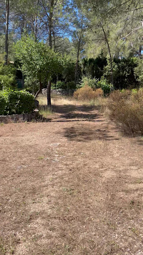 Bruno Gervais Optimhome Immobilier Bouzigues - Etang de Thau -