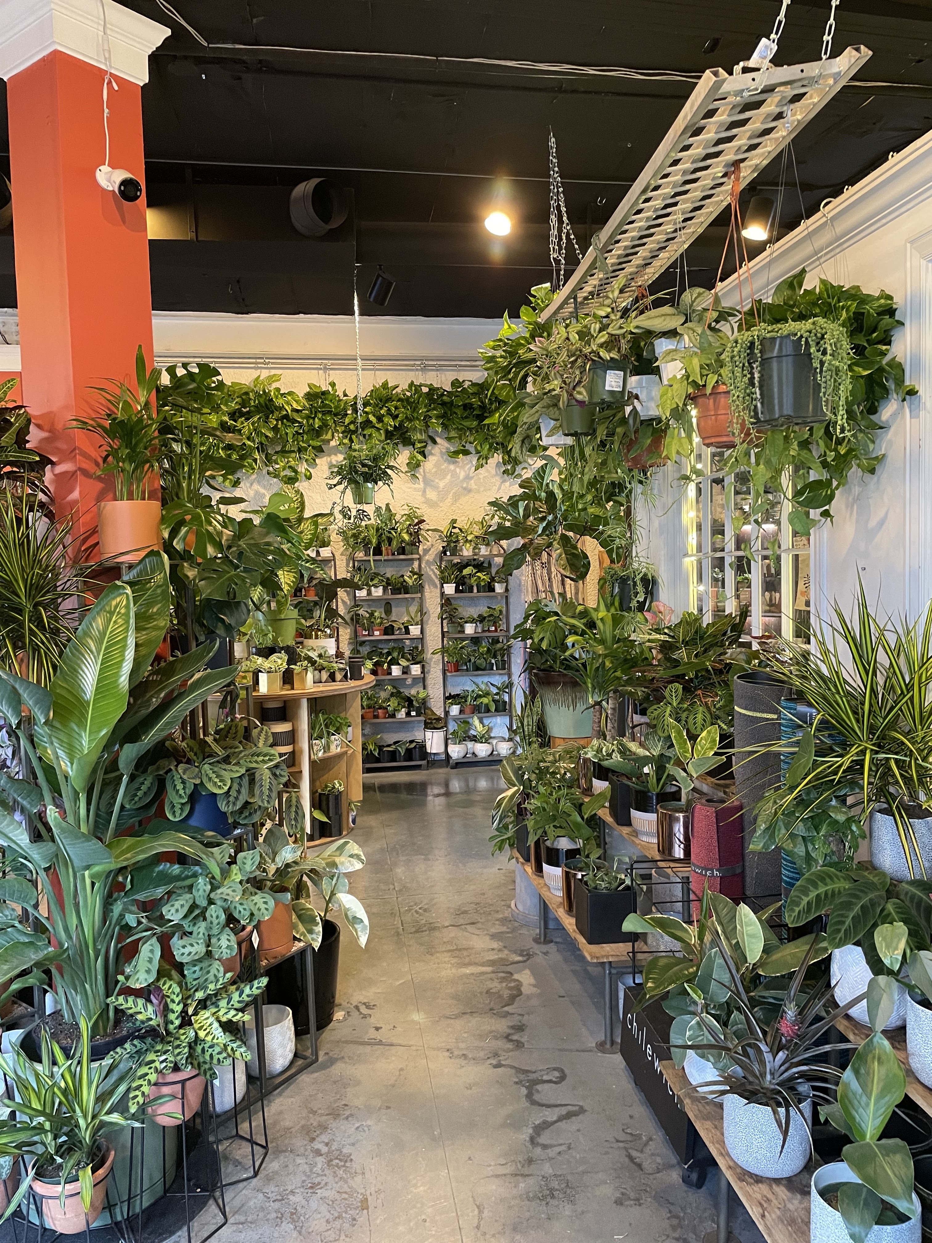 Plant Garage