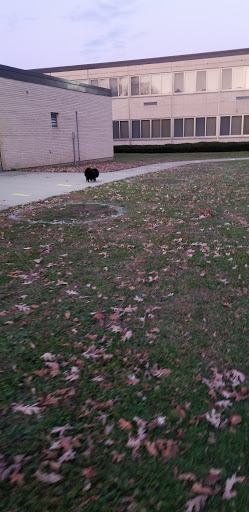 Susan E Wiley Elementary School - Thumbnail