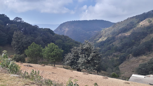 Los Lirios, Cadereyta, Querétaro - Thumbnail