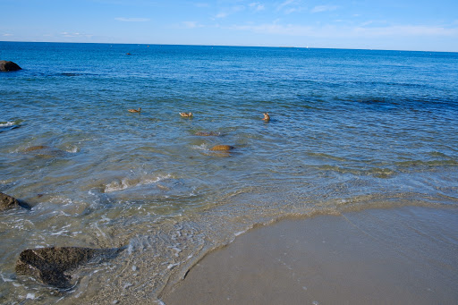 Old Garden Beach - Thumbnail